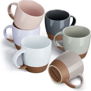 Morandi Color Ceramic Coffee Mugs Set of 6